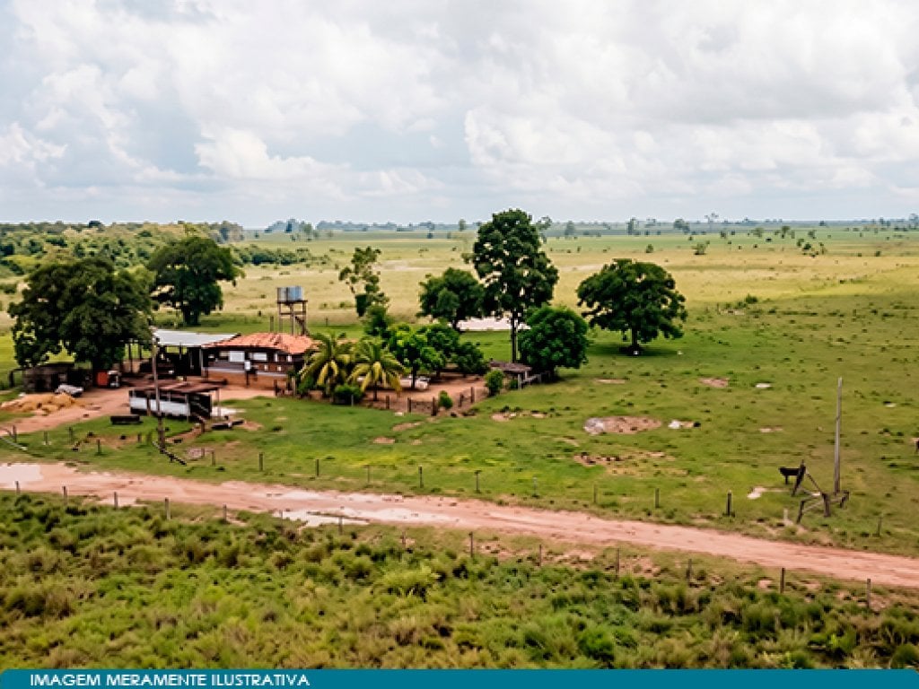 Imóvel Rural 21.780 m² (Fazenda) - Acará - PA