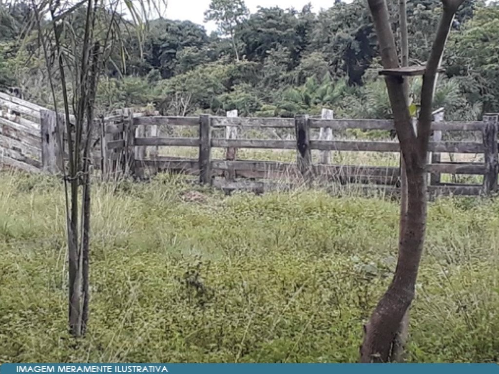 Imóvel Rural 37 ha (Chácara) - Araguatins - TO