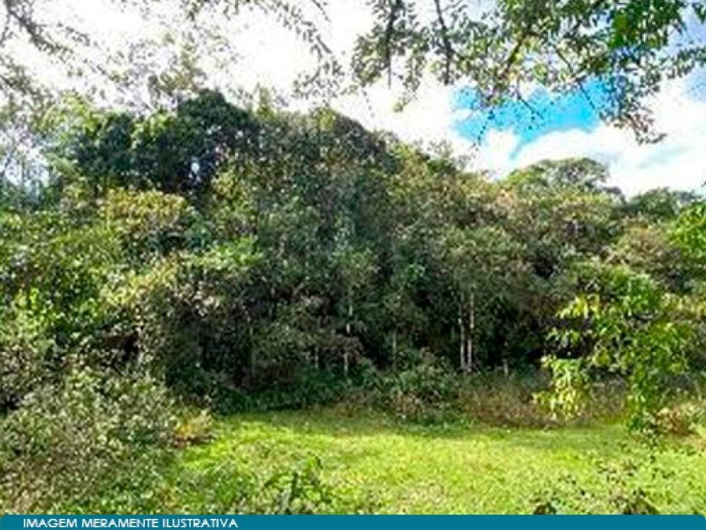 Área Rural com 20.400 m² - Ribeirão Grande - Pindamonhangaba - SP