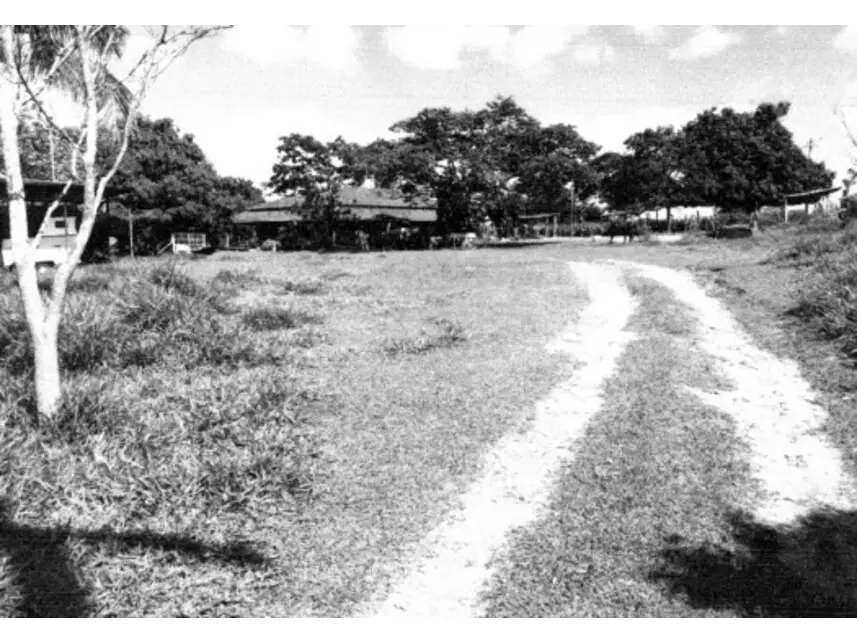 Terreno c/benfeitorias à venda em leilão