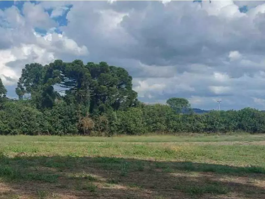Área Rural à venda em leilão