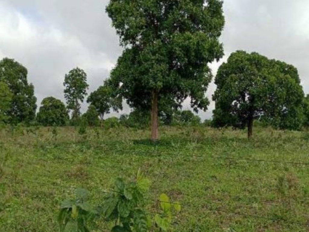Área Rural 27 ha - Aruanã-GO - Chácara Marambaia - Zona Rural