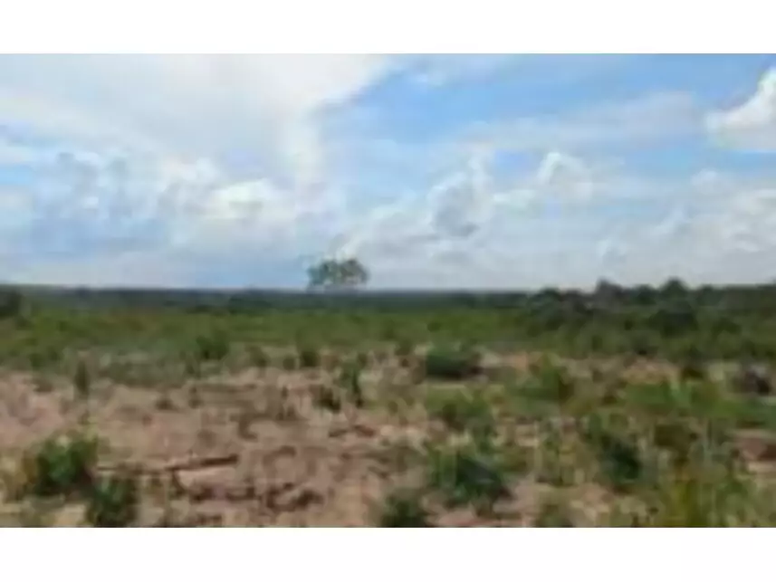 Terreno à venda em leilão