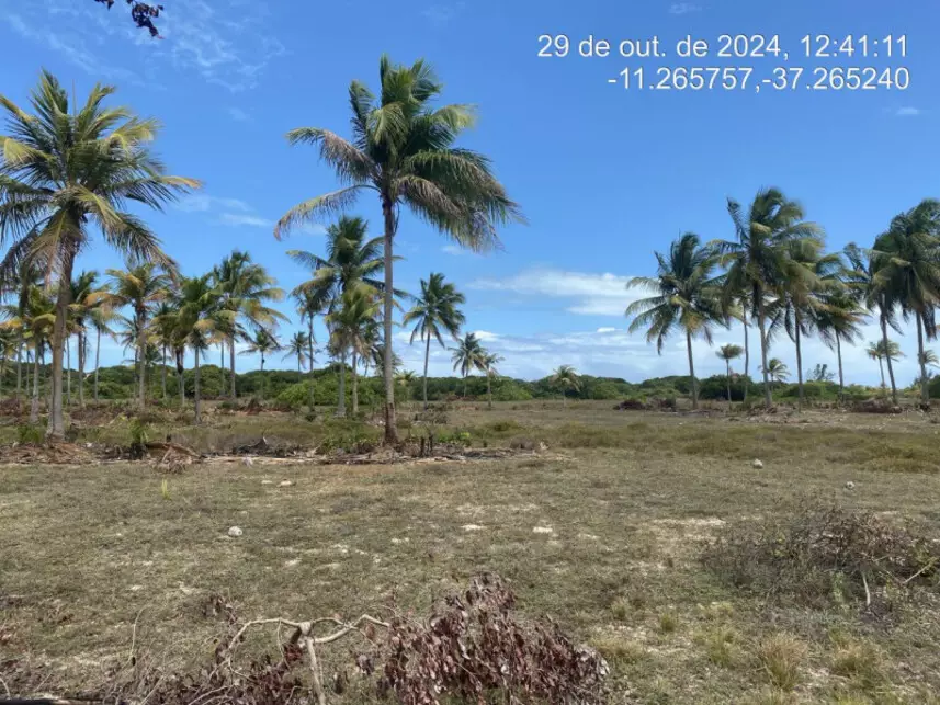 Terreno à venda em leilão