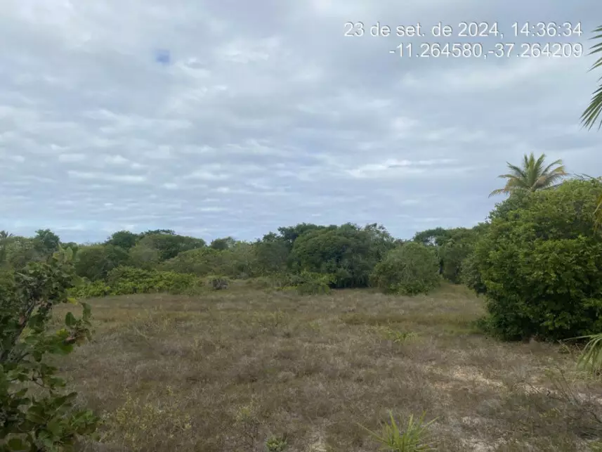 Terreno à venda em leilão