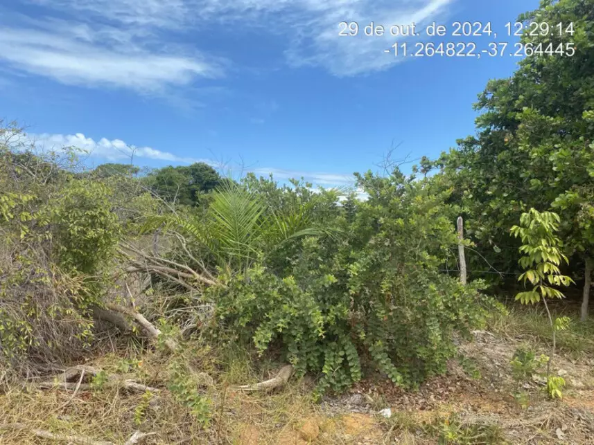 Terreno à venda em leilão