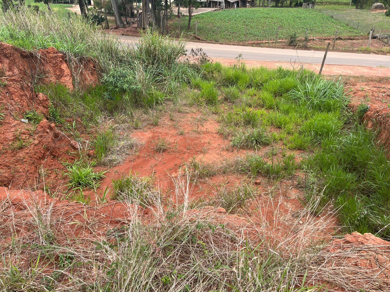 Terrenos Urbanos
