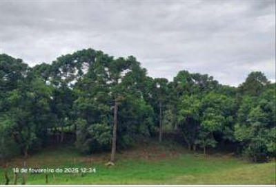 Terrenos