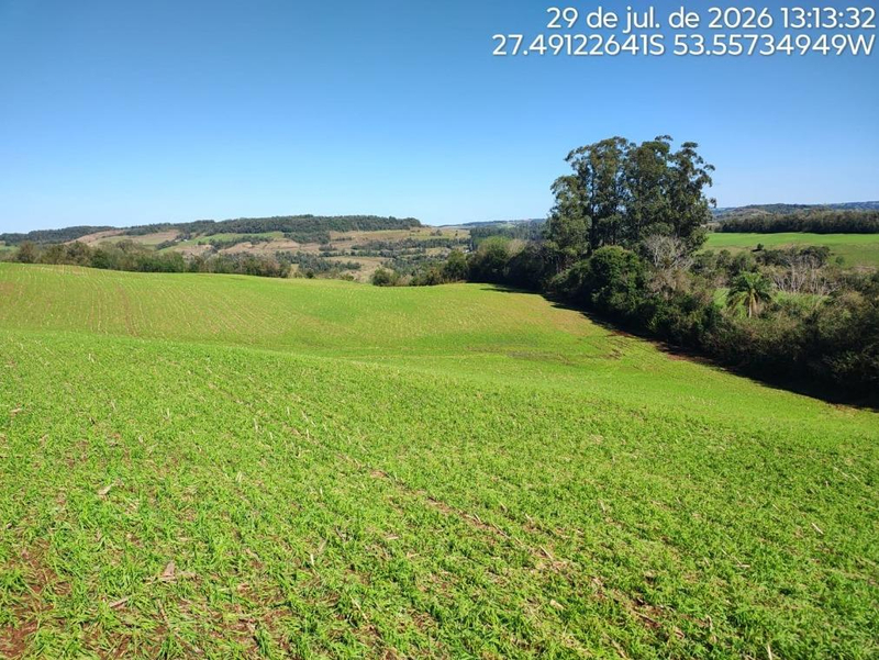 Terrenos