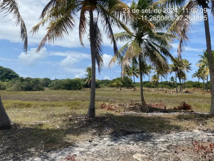 Terreno à venda em leilão