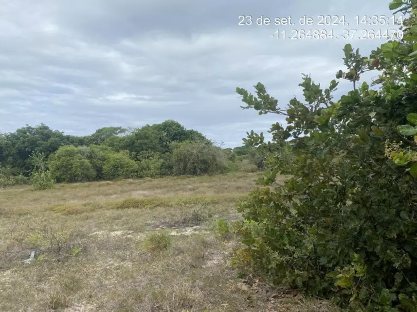 Terreno à venda em leilão