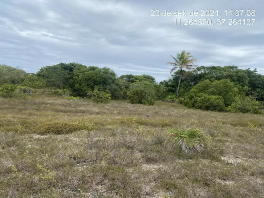 Terreno à venda em leilão