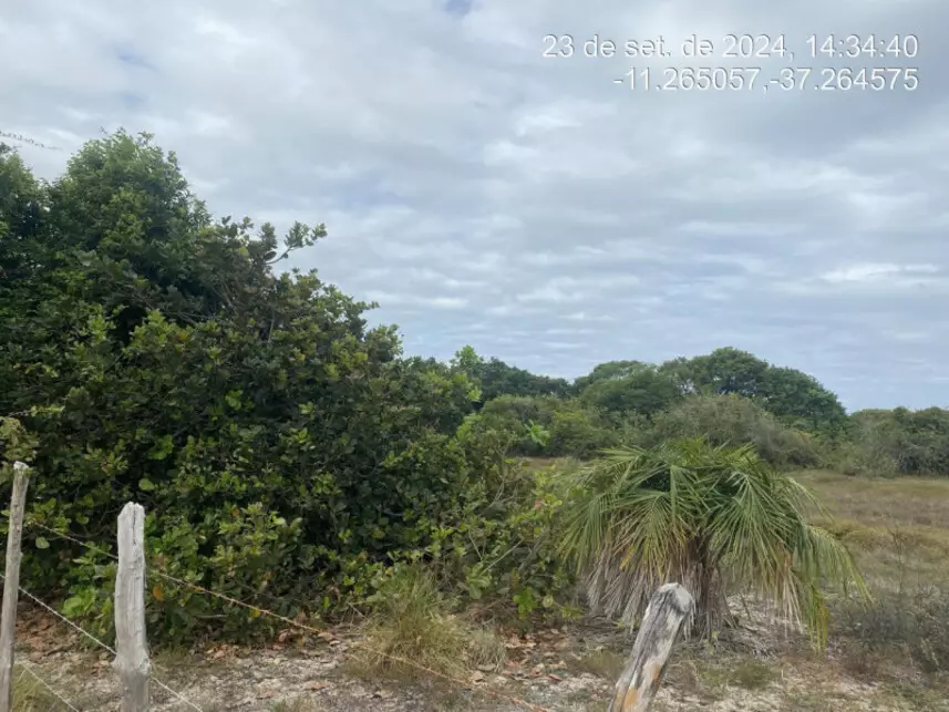 Terreno à venda em leilão