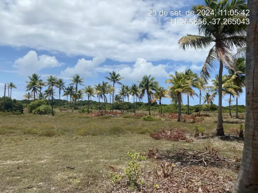 Terreno à venda em leilão