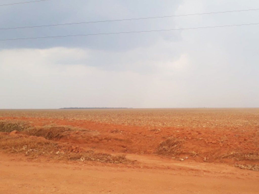 Direitos sobre Parte Ideal (50%) de Área Rural 195 ha - Fazenda Sabiá - Campos de Júlio - MT