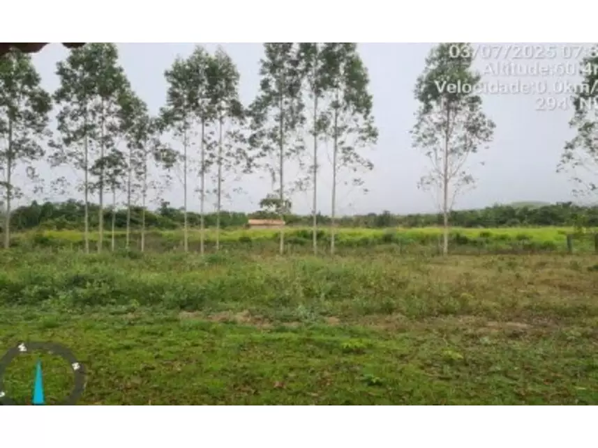 Área Rural à venda em leilão