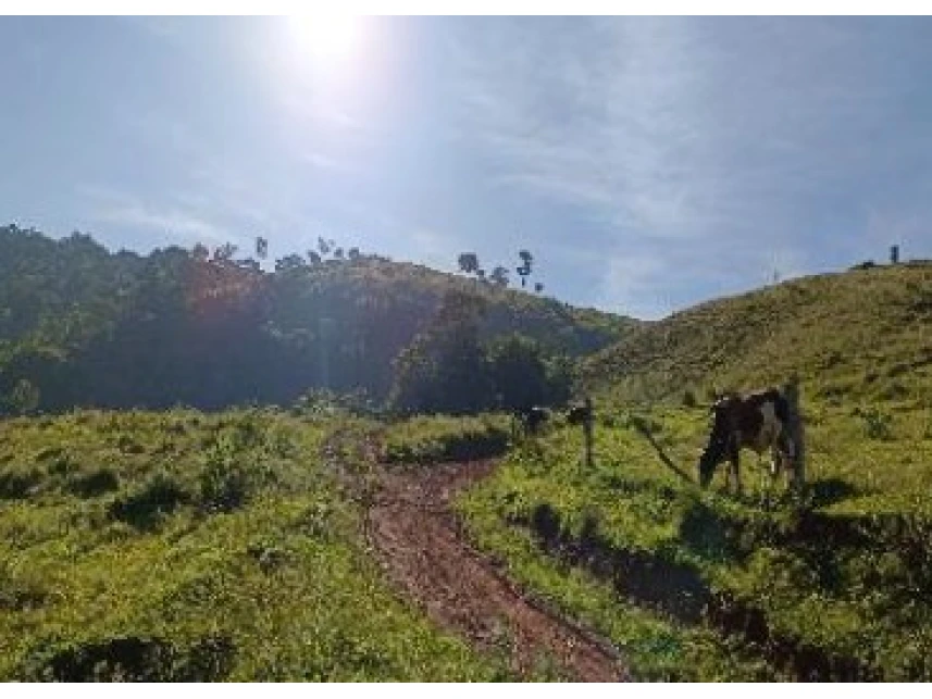 Área Rural à venda em leilão