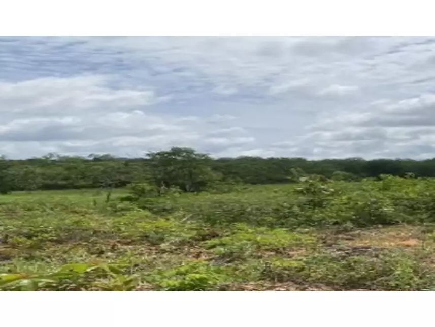 Área Rural à venda em leilão
