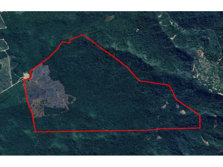 Área Rural à venda em leilão
