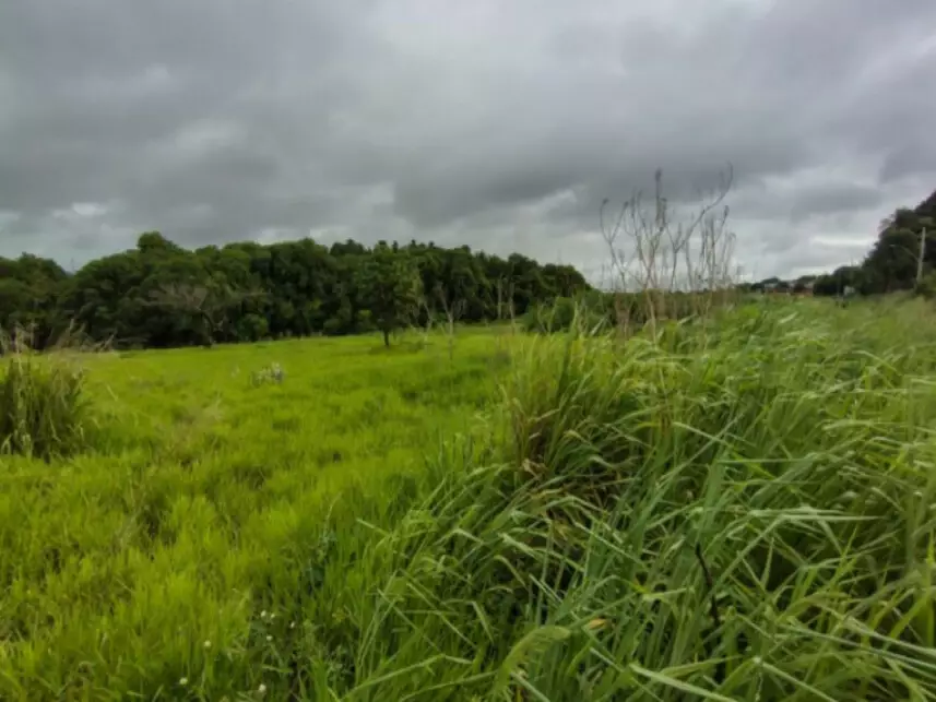 Área Rural à venda em leilão