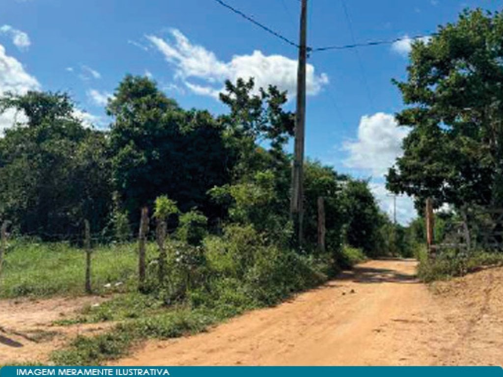 Imóvel Rural 237,60 ha (Fazenda Um e Um) - Andaraí - BA