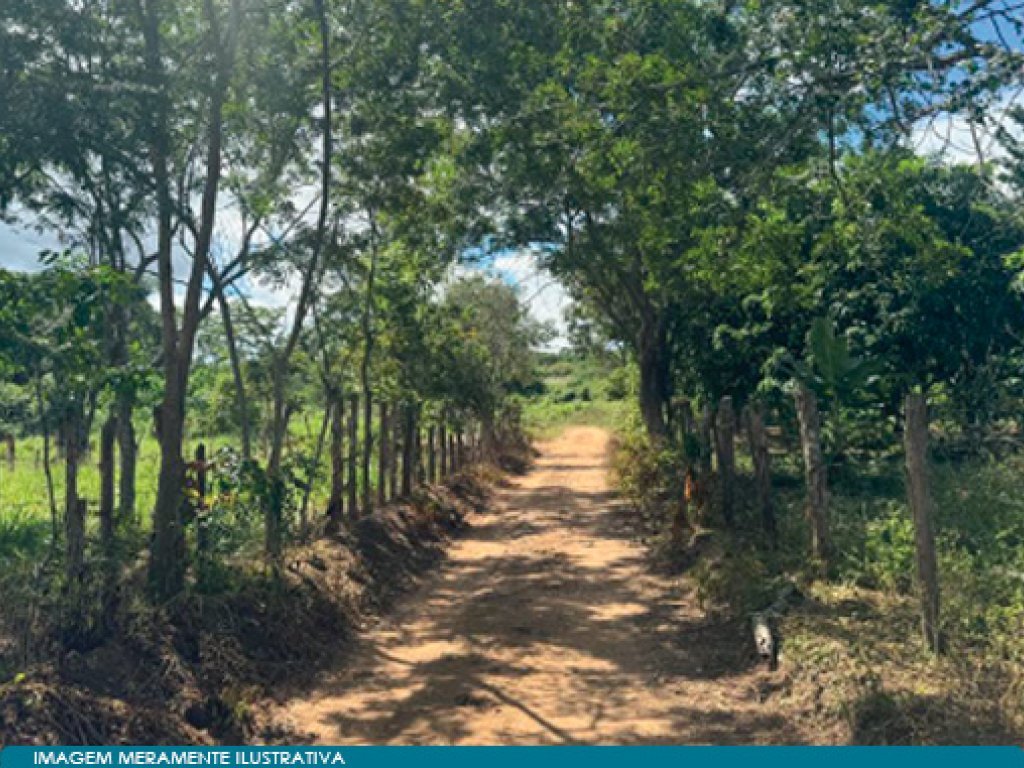 Imóvel Rural 158,46 (Fazenda Um e Um II) - Andaraí - BA