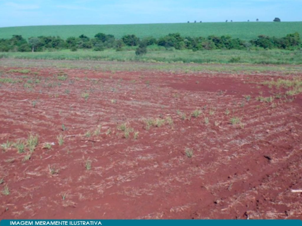 Imóvel Rural - Parte Ideal de 29,67% de 815 ha - Fazenda Anhuminhas - Maracaí - SP
