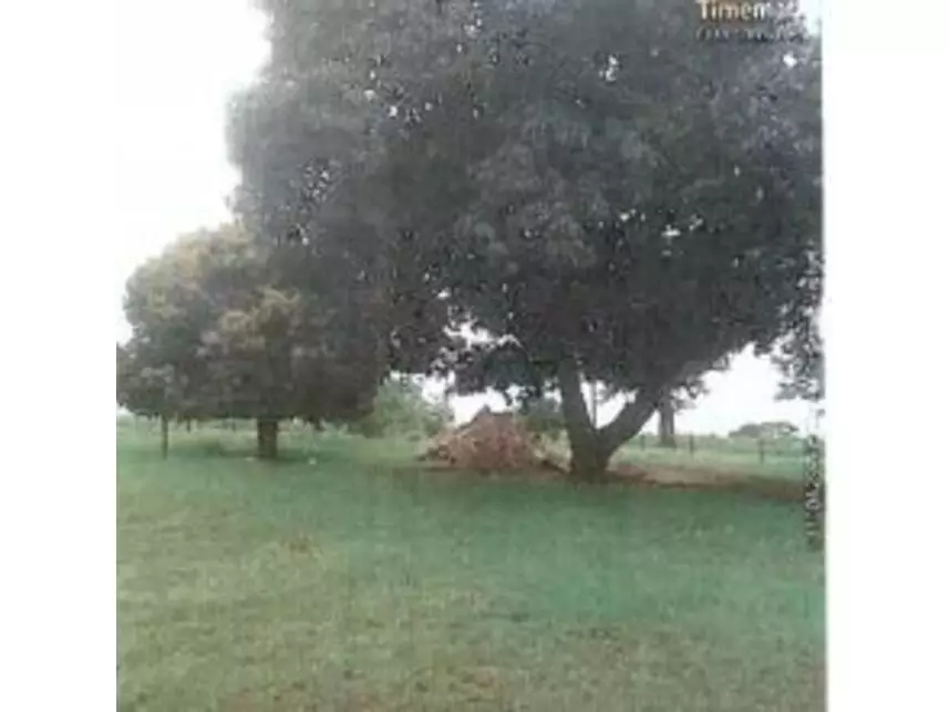Área Rural à venda em leilão