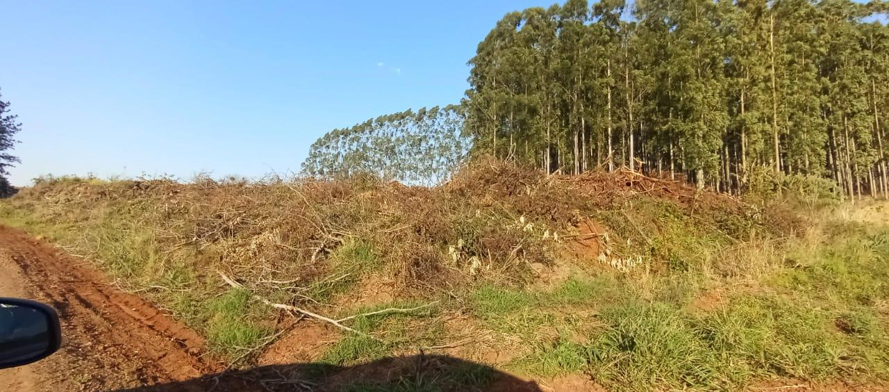 Terrenos Urbanos