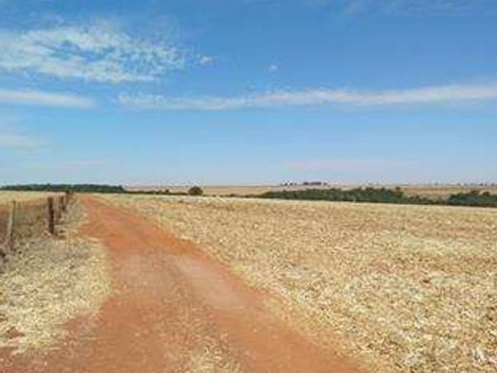 Imóvel Rural com Área de 334 ha (Fazenda Retiro do Bom Jardim) - Montividiu - GO