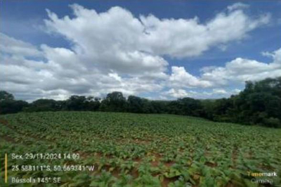Terrenos