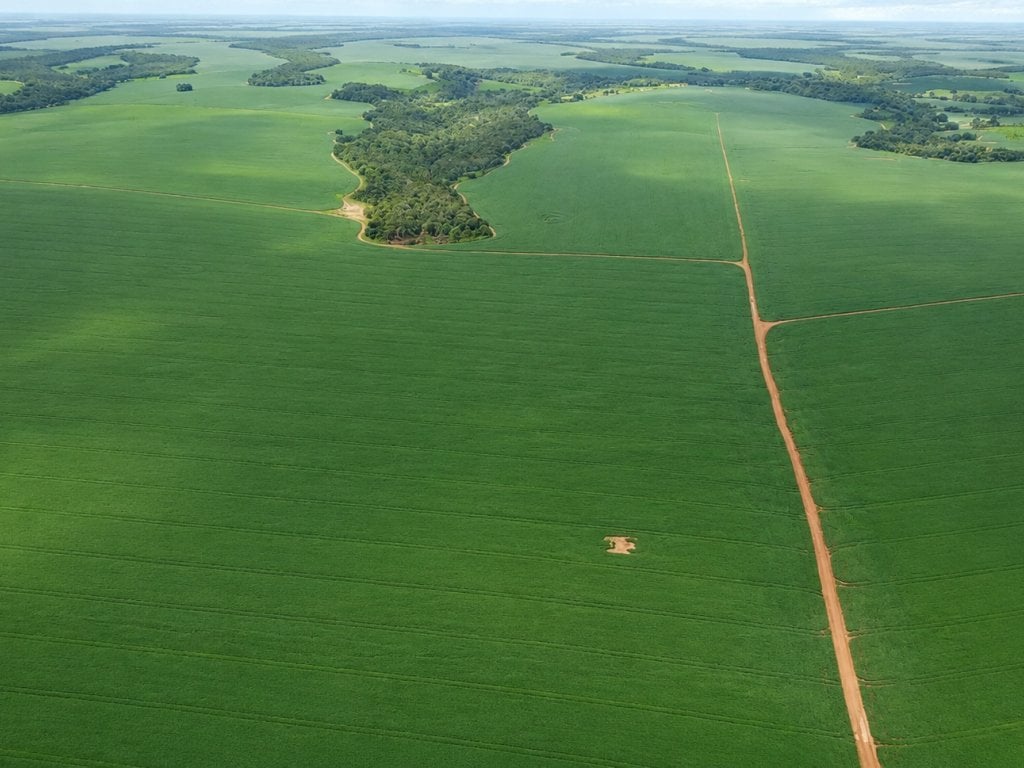 Imóvel Rural com Área de 1.058 ha (Fazenda Monte Alegre) - Rio Verde - GO