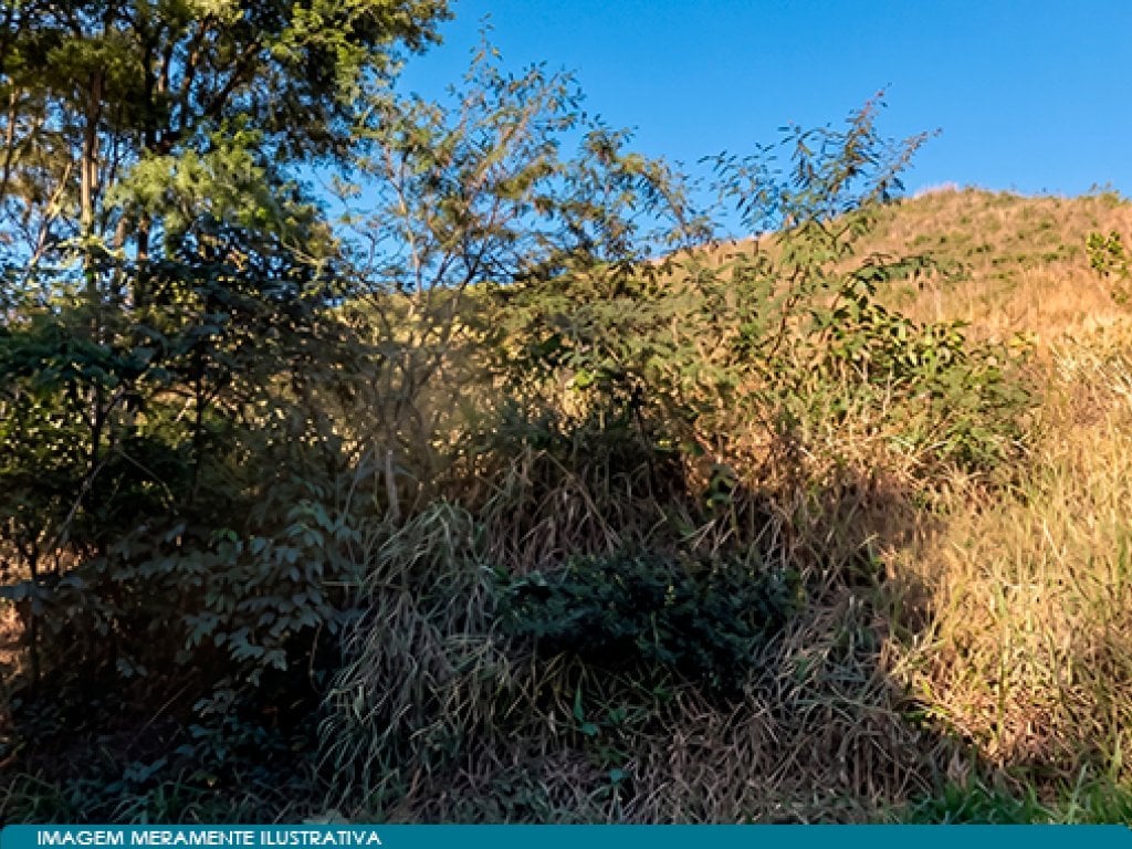 Direitos sobre Área 590 ha (Fazenda Morro Grande e Caratinga) - Belo Horizonte - MG