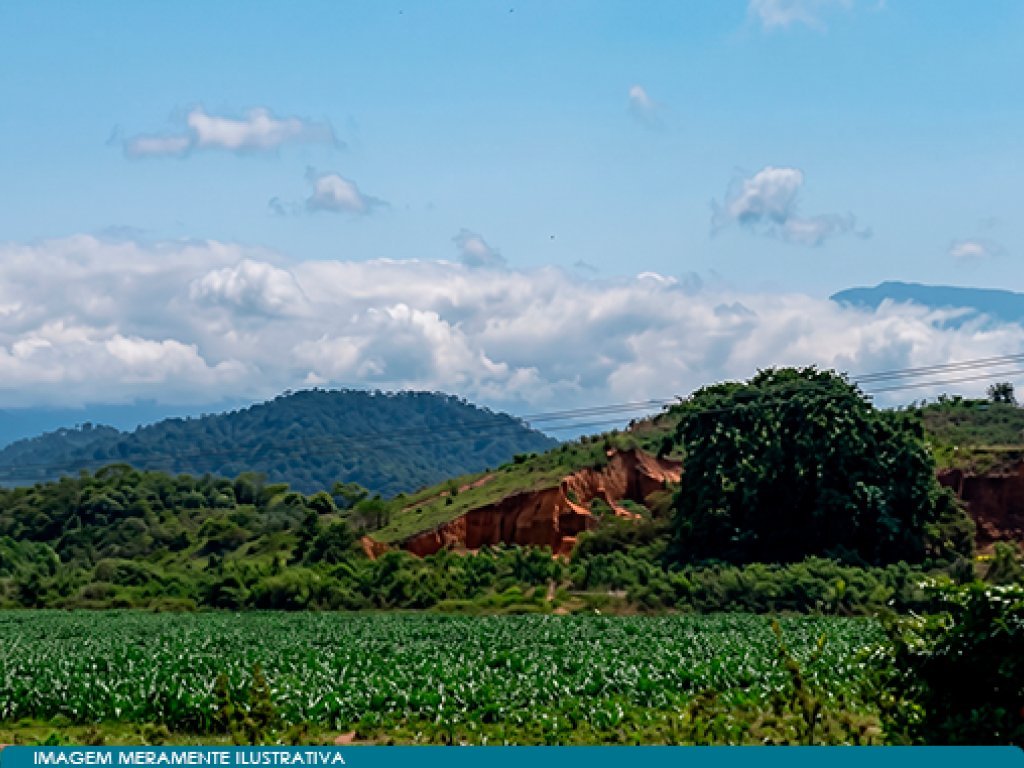 Área 120.056 m² (Sítio Roncador) - Barbuda - Magé - RJ