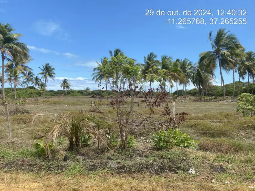Terreno à venda em leilão