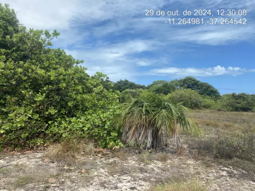 Terreno à venda em leilão