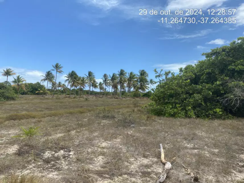 Terreno à venda em leilão