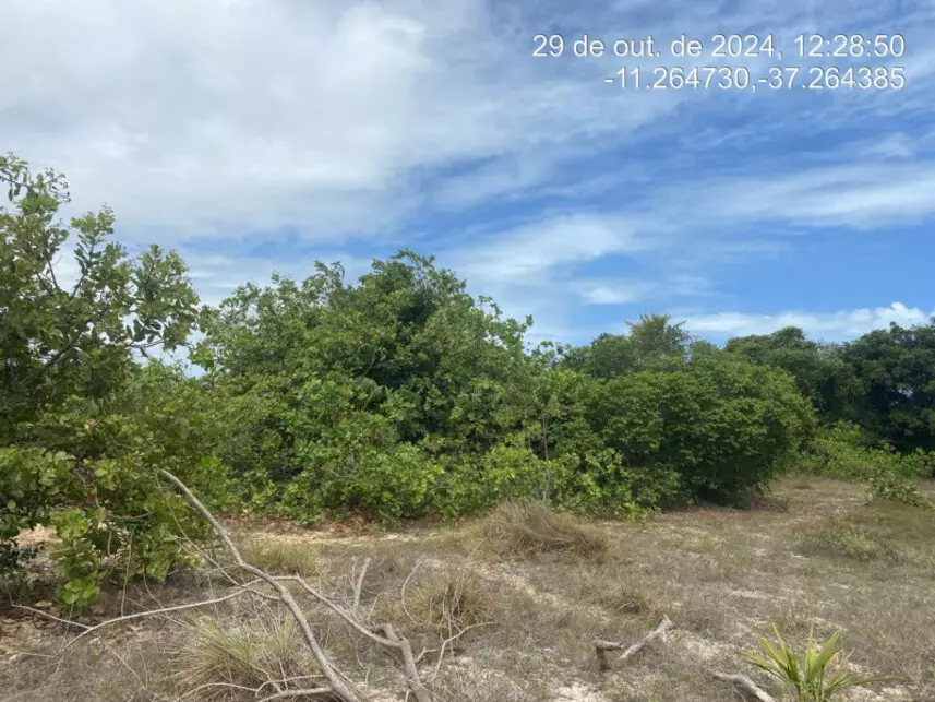 Terreno à venda em leilão