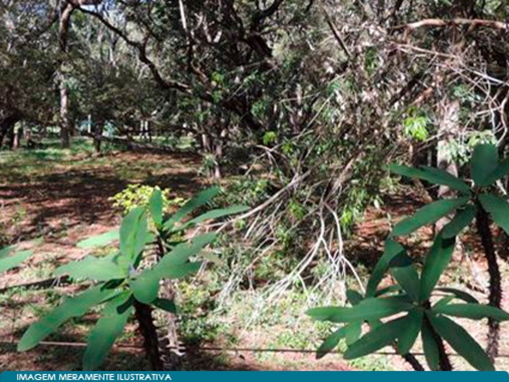 Direitos sobre Terreno 2.024 m² - Loteamento Quinta do Lago - Avaré - SP