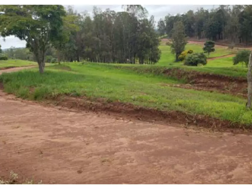 Terreno à venda em leilão
