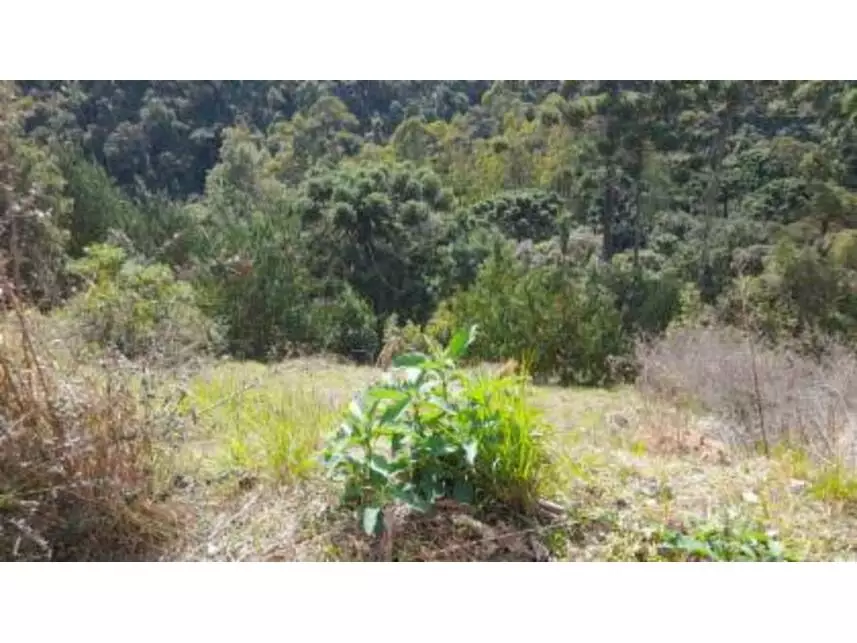 Terreno à venda em leilão