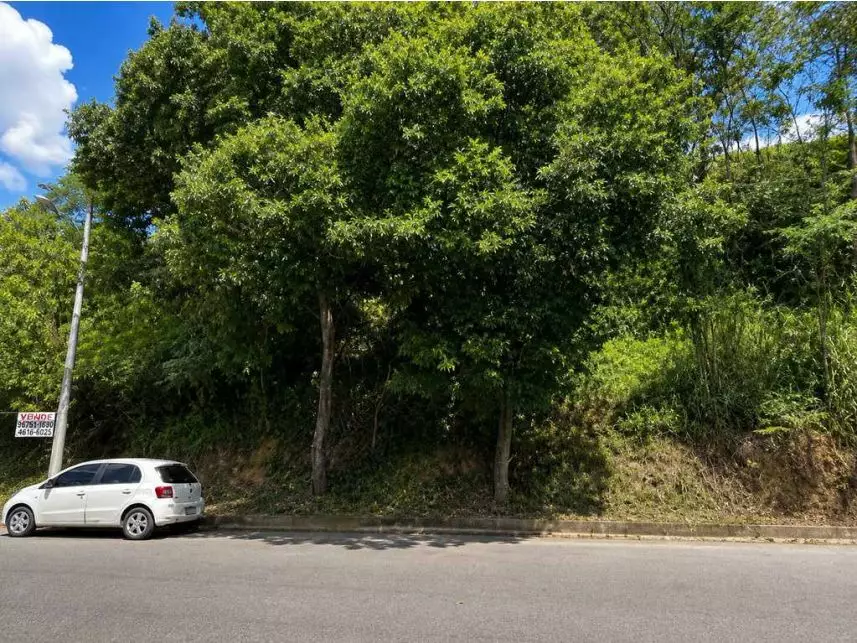 Terreno à venda em leilão