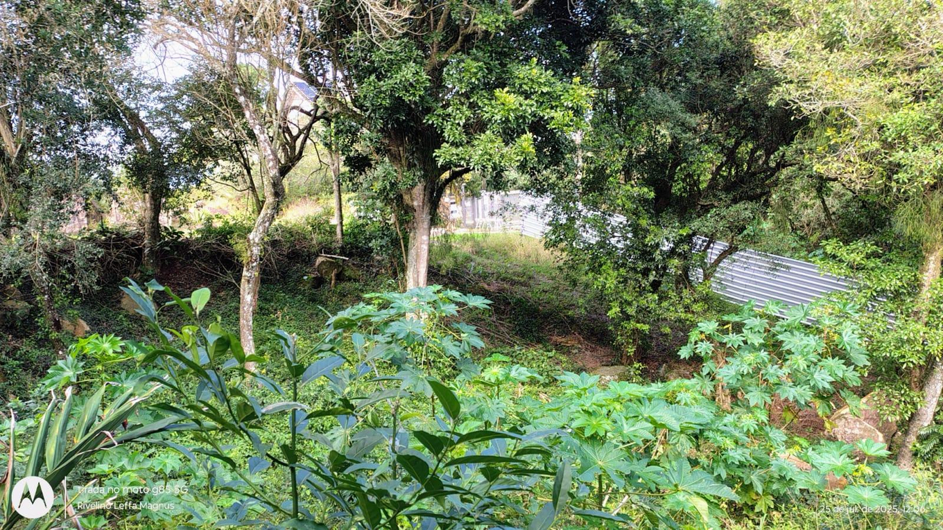 Terrenos Urbanos