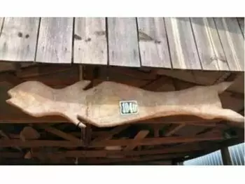 Casa à venda em leilão