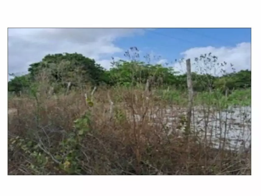 Terreno à venda em leilão