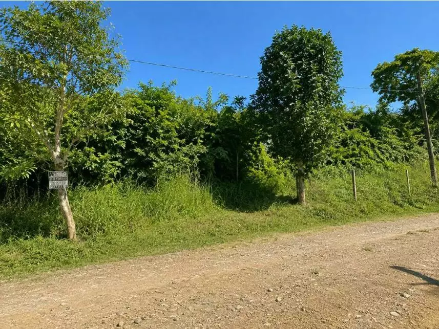 Terreno à venda em leilão