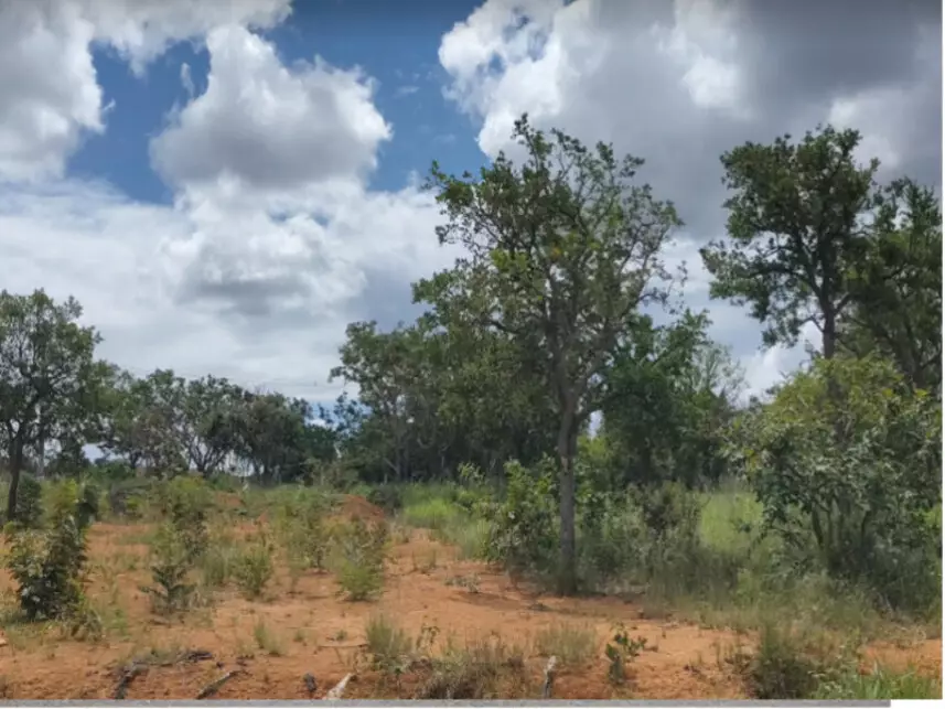 Terreno à venda em leilão