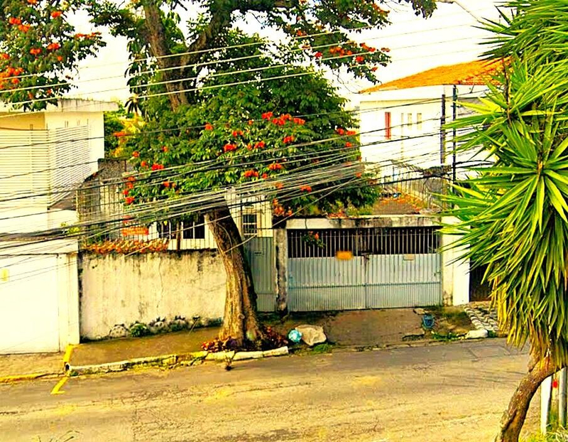 Casas