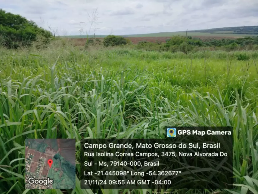 Terreno à venda em leilão