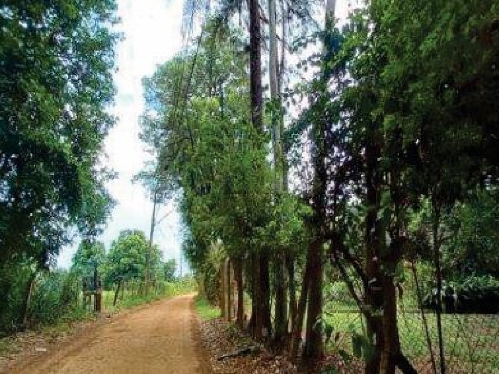 Área com 15.098 m² e 8.000 m² (área construída) - Das Palmeiras - Ribeirão Preto - SP